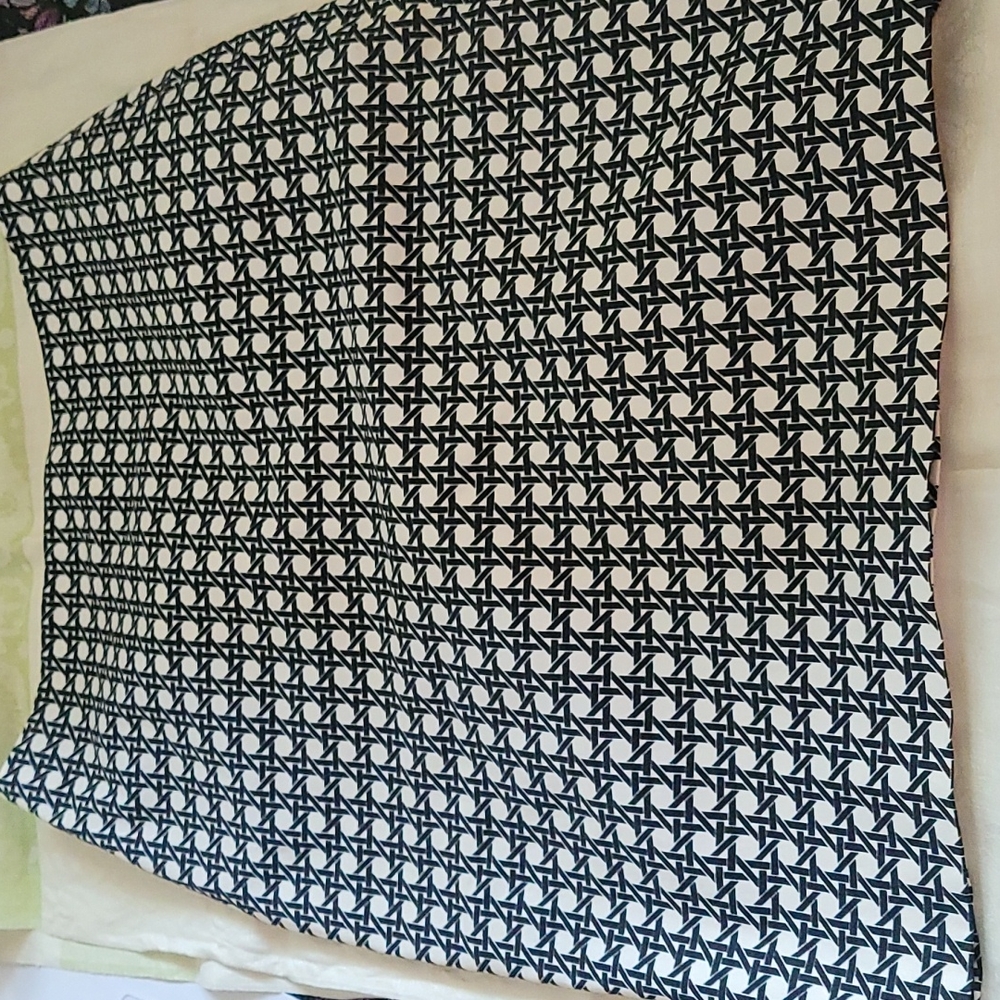 Ann Taylor Size 0 Skirt
